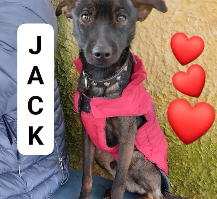 Jack