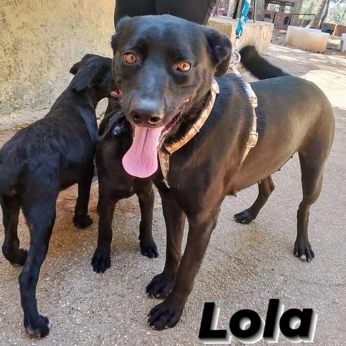 Lola