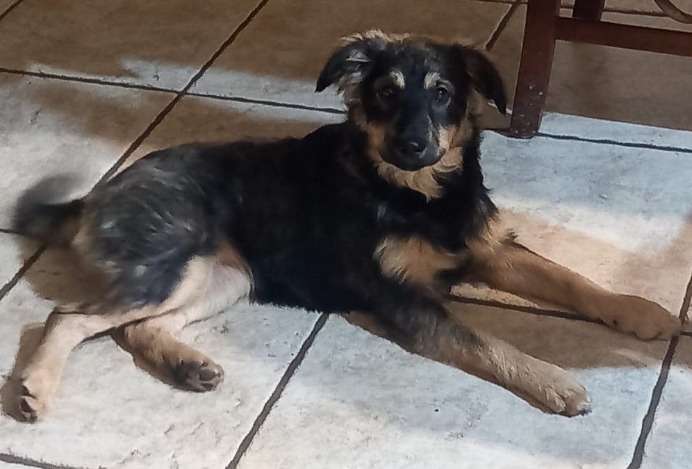 Mia