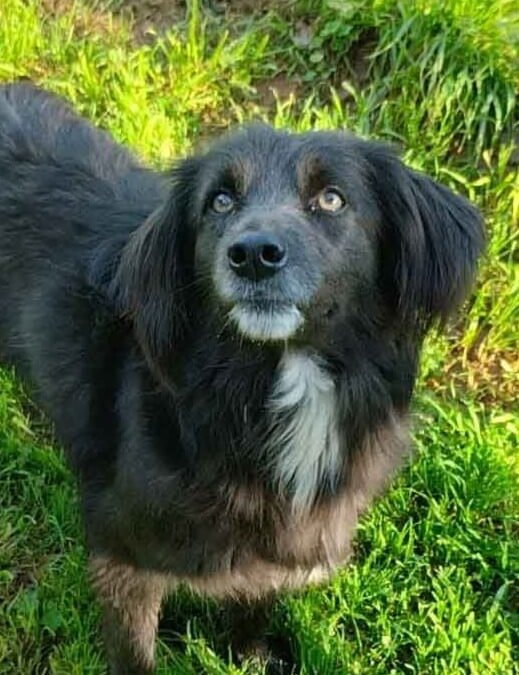 Milly