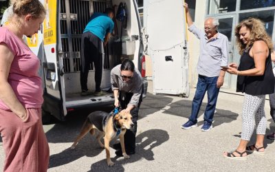 Transport vom 06.09.2025