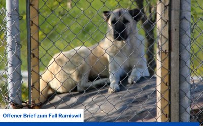 Fall Ramiswil (SO): Offener Brief an Bundesrätin Baume-Schneider