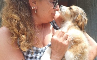 Jahresbericht 2025 online