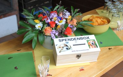 Grosszügige Spende an SOS-Strassenhunde