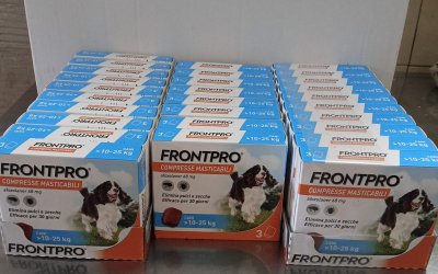 Grosse Sachspende für die Hunde in Alessano