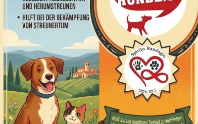 Spendenaufruf zur «Kastrationskampagne 2026/2027»